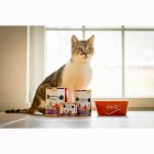 Kat Natvoer Powertöpfchen 200g 6 Stuk -3- Anifit